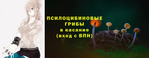 экстази Бородино