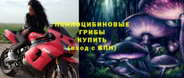 экстази Бородино