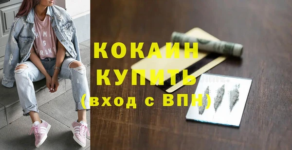 ешки Бронницы