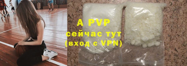 экстази Бородино